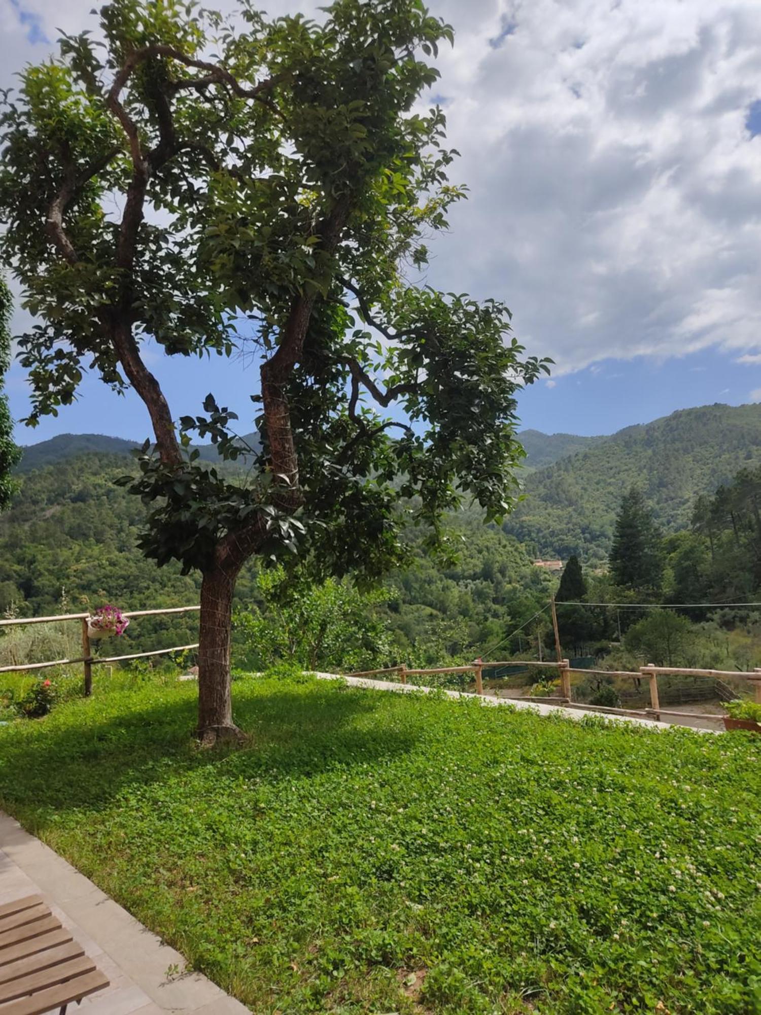 Castiglione Chiavarese Agriturismo Torsivi מראה חיצוני תמונה